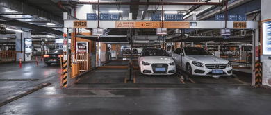 智慧停車“蛋糕”誘人卻難下咽，松立人當以危機意識行穩致遠